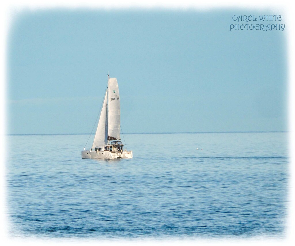 All At Sea by carolmw