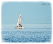 22nd Jan 2025 - All At Sea