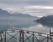 22nd Jan 2025 - Misty morning 