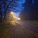 Fog by duska