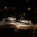 still life experiments by kametty