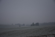 20th Jan 2025 - winter landscape