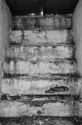 22nd Jan 2025 - To the yard