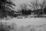 22nd Jan 2025 - From the basement