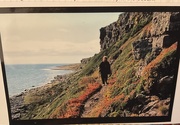 22nd Jan 2025 - Walk