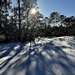 First snow in Charleston in 8 years by congaree