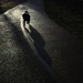 My Shadow by gaillambert