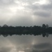 Grey day with a glow