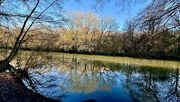 23rd Jan 2025 - Reflecting