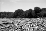 24th Jan 2025 - Detritus after floods