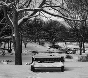 24th Jan 2025 - Snowy bench