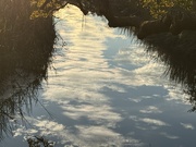 24th Jan 2025 - Tidal creek reflections