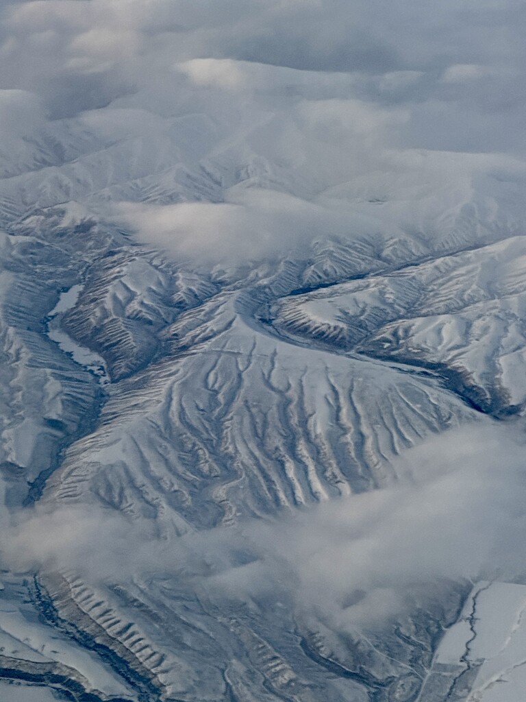 IMG_9218. Idaho by dianefalconer