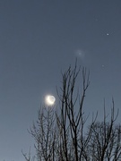 25th Jan 2025 - Moon