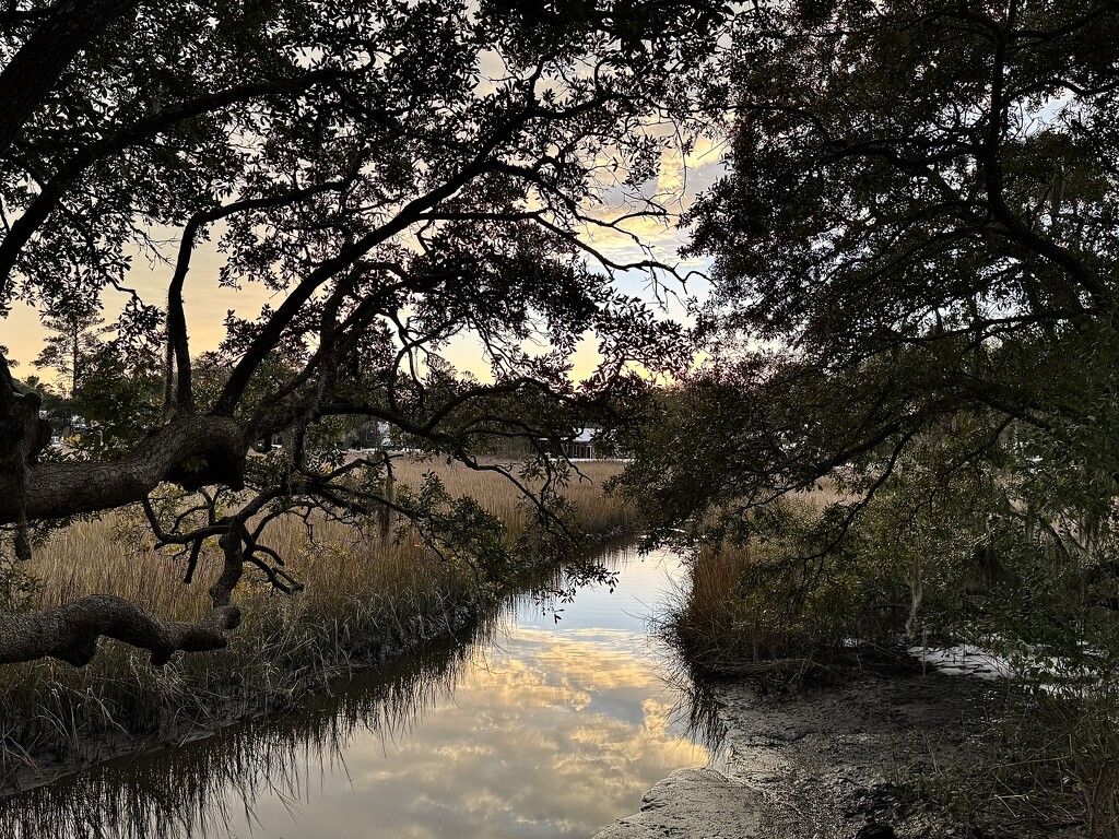 Marsh creek sunset by congaree