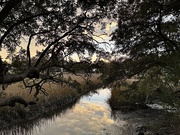 25th Jan 2025 - Marsh creek sunset