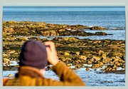 25th Jan 2025 - Seal Spotting