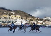 25th Jan 2025 - Snow Polo