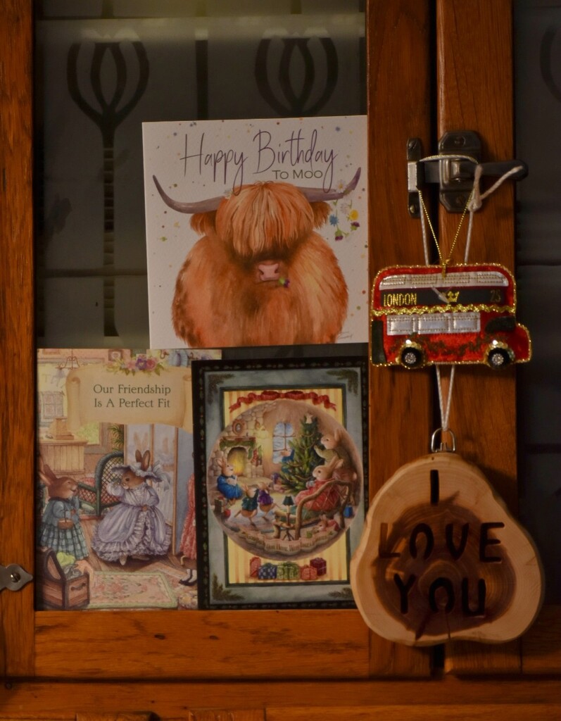 A Few Favorite Things Of Mine... by bjywamer