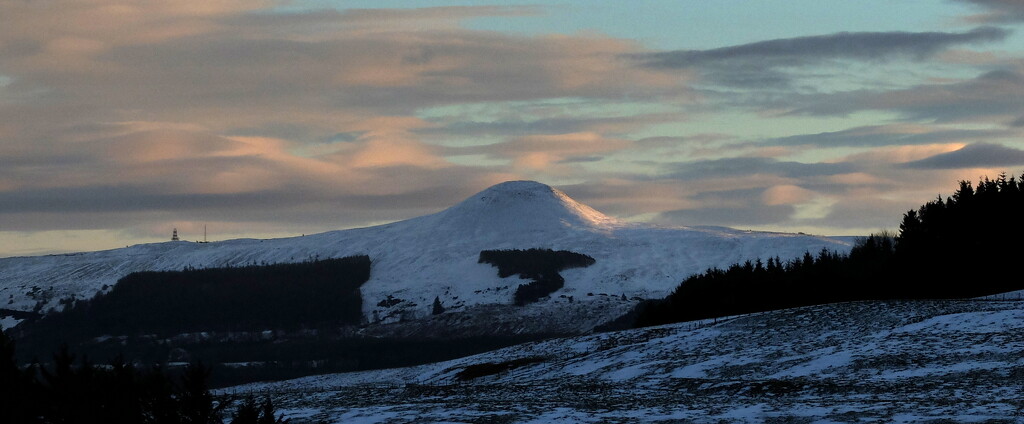 falkland hill (25th jan 2021) by minsky365