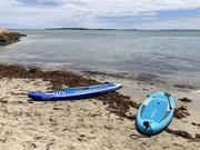 26th Jan 2025 - First Paddle for the Season