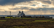 23rd Jan 2025 - Ladysmith Sandwick