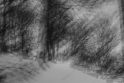 25th Jan 2025 - The Path of the Dead