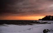 26th Jan 2025 - Dawn