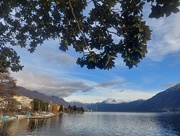 26th Jan 2025 - Lake Maggiore