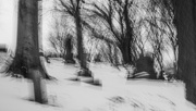 26th Jan 2025 - Dark trees towered like monuments for the buried