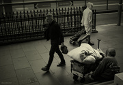 27th Jan 2025 - Loneliness 2
