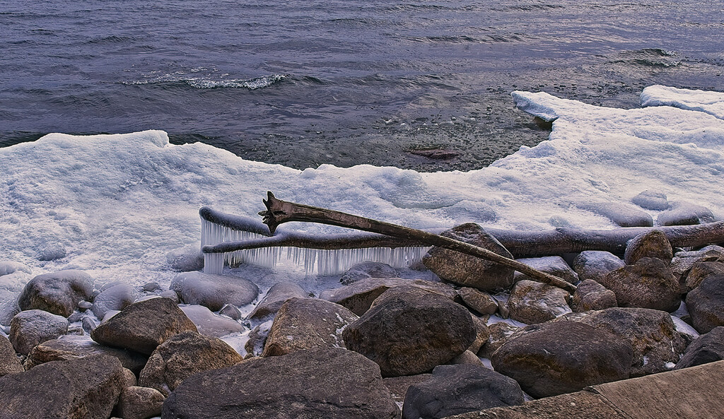 Shoreline Detail by gardencat