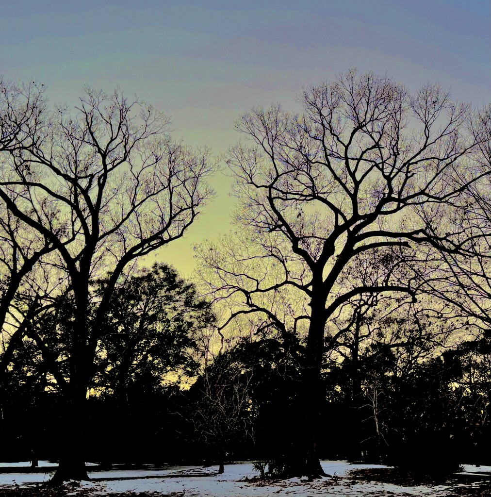 Peaceful twilight scene at the park by congaree