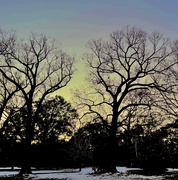 26th Jan 2025 - Peaceful twilight scene at the park