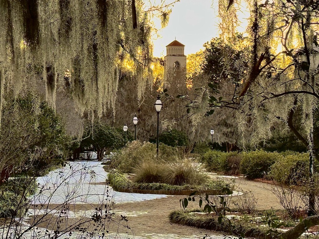 Lingering snow at twilight at the park yesterday.  The first snow we’ve had in 8 years. by congaree