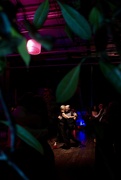 26th Jan 2025 - Dancing in Light and Leaves