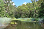 27th Jan 2025 - The Turtle Pond