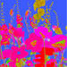  pink petals