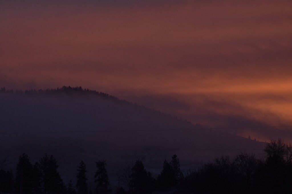 Morning Fog Bank by bjywamer