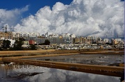 27th Jan 2025 - LOOK AT THOSE WHITE CLOUDS!