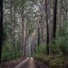 Mountain road by pusspup