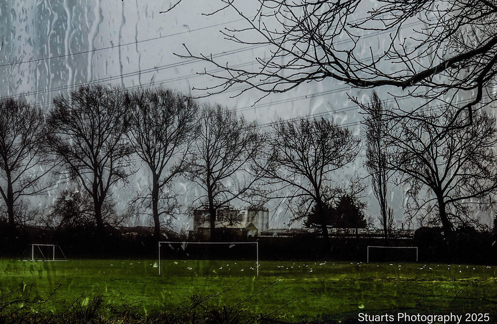 Wet and windy by stuart46