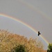 Flying over the rainbow by wakelys