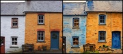 22nd Jan 2025 - From Picture To Painting