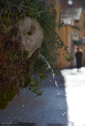 26th Jan 2025 - fountain in Aix en Provence 