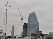 26th Jan 2025 - Grey London 