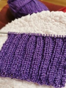21st Jan 2025 - Ribbed! 