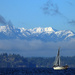 Still trying to get well.... by seattlite