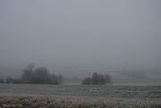 21st Jan 2025 - cold