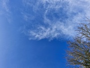 23rd Jan 2025 - Blue Sky #23